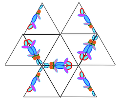 image007.png