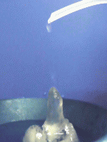 水が凍る？