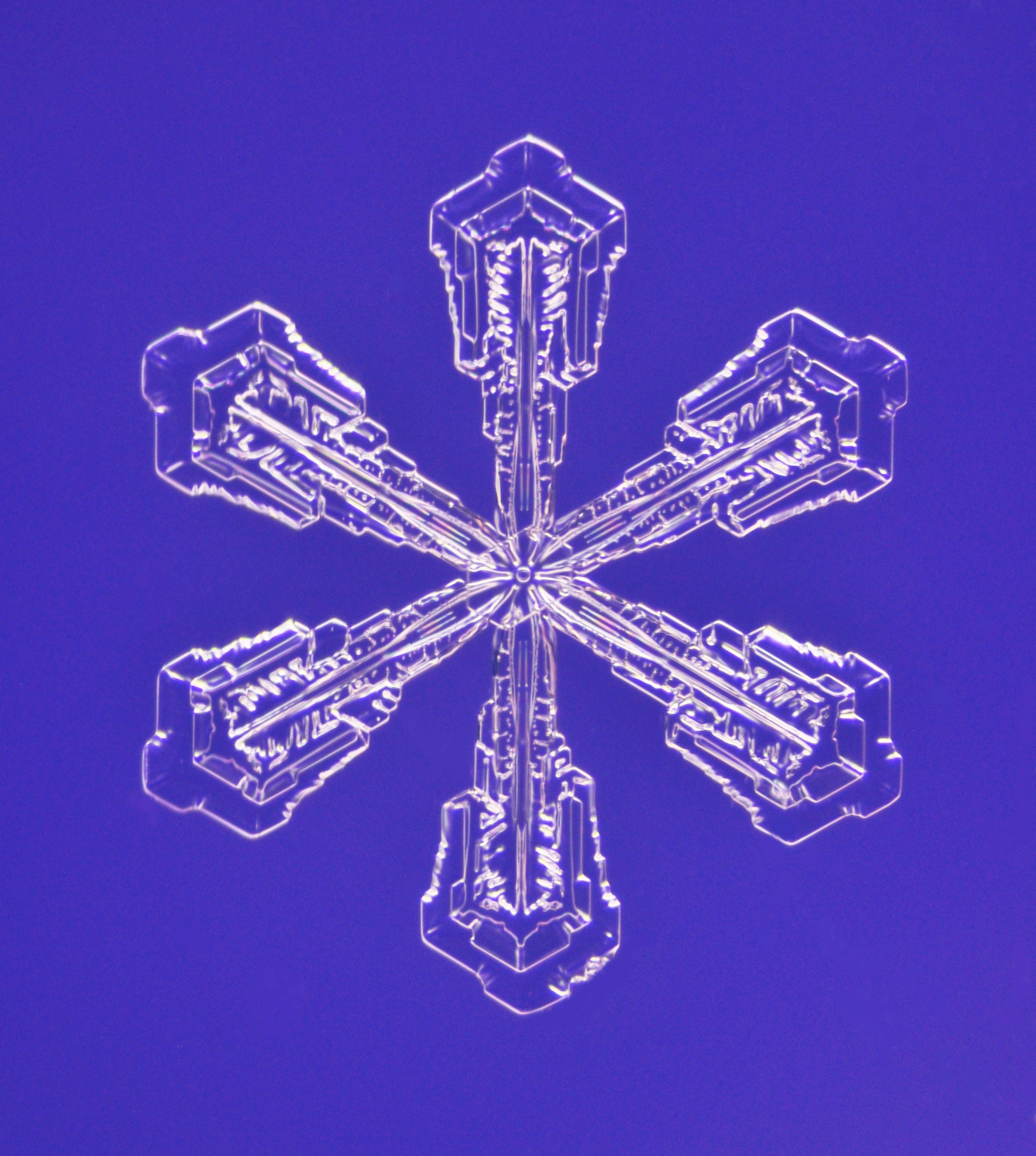 雪結晶の顕微鏡写真（広幅六花）