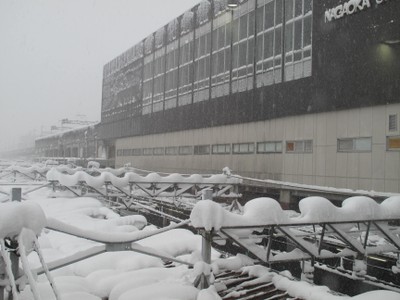 雪の長岡駅と鉄道 雪の長岡駅と鉄道