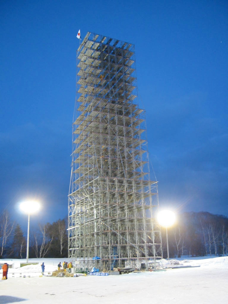 2010fig2.jpg